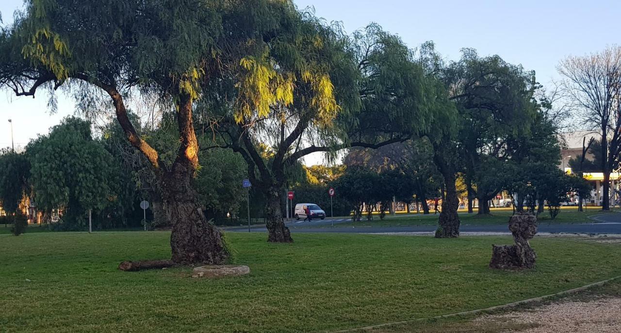 סביליה Apartamento Frente A Palacio De Congresos מראה חיצוני תמונה